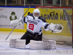 amsterdamtigers-9751